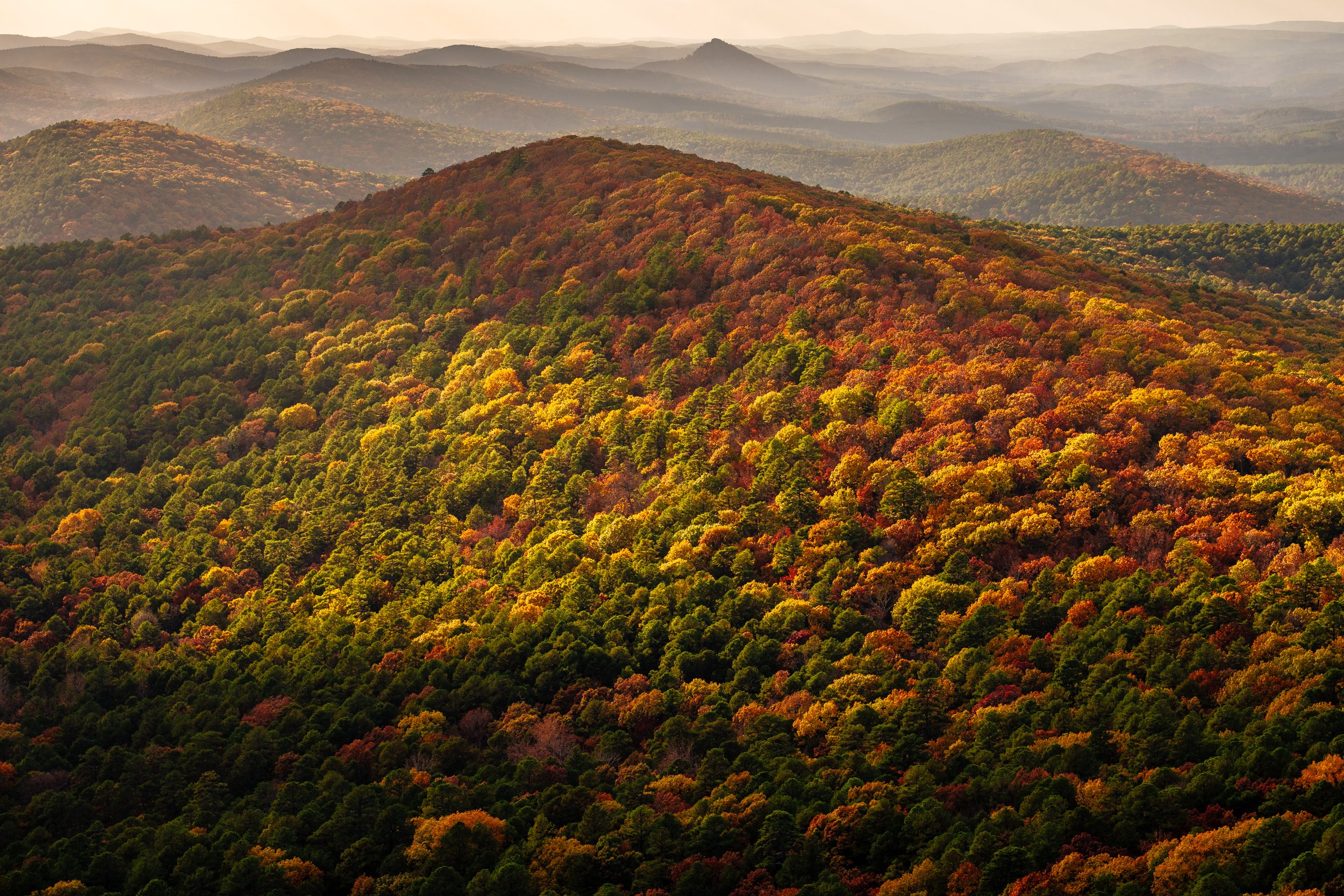 Flatside Pinnacle Hike Guide | Ouachita National Forest, Arkansas